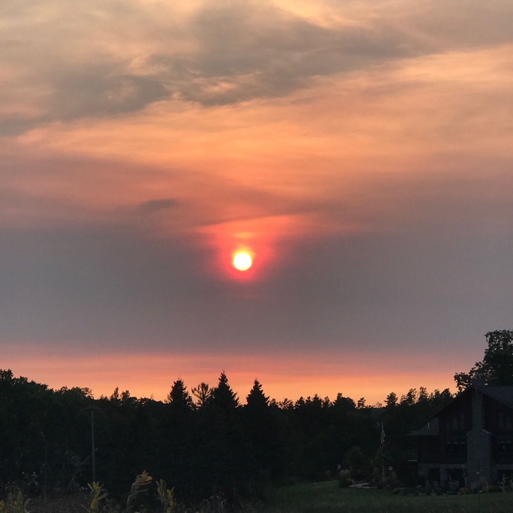 Meet your Posher, Ellie